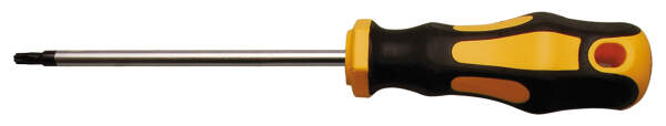 Schraubendreher | T-Profil (für Torx) T15 | Klingenlänge 100 mm