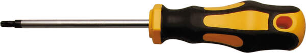 Schraubendreher | T-Profil (für Torx) T25 | Klingenlänge 100 mm