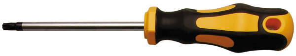 Schraubendreher | T-Profil (für Torx) T27 | Klingenlänge 100 mm
