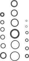 O-Ring-Sortiment | Ø 3 - 22 mm | 225-tlg.