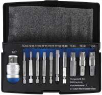 Schraubenausdreher-Satz | für defektes T-Profil...