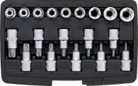 Bit-Einsatz-/Steckschlüssel-Satz | Antrieb Innensechskant 12,5 mm (1/2") | T-Profil (für Torx)/E-Profil | 19-tlg.