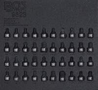 Werkstattwageneinlage 1/6: Kraft-Bit-Einsatz-Satz |...