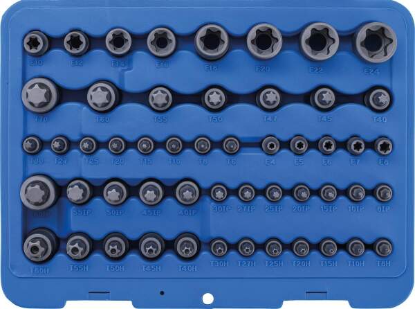 Bit-Einsatz- und Steckschlüssel-Einsatz-Satz | E-Profil / T-Profil (für Torx) / T-Profil (für Torx) mit Bohrung / TP-Profil (für Torx Plus) | 52-tlg.