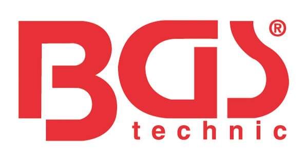 BGS®-Aufkleber | 250 x 150 mm