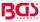 BGS®-Banner/-Fahne | 2000 x 1000 mm