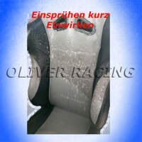 Flugzeugreiniger Airplane Cleaner Lackreiniger entfernt Öl Fett AVGAS MOGAS 10L