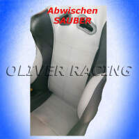 Flugzeugreiniger Airplane Cleaner Lackreiniger entfernt Öl Fett AVGAS MOGAS 10L