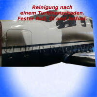 Flugzeugreiniger Airplane Cleaner Lackreiniger entfernt Öl Fett AVGAS MOGAS 10L