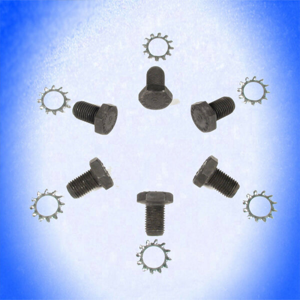 SCHRAUBEN STARTERKRANZ GM Chevrolet Pontiac Oldsmobile Buick 55-89 4.3 5.7-7.4 L