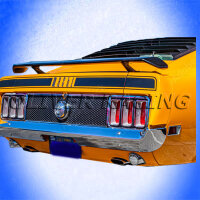 SPOILER HECKSPOILER Ford Mustang BOSS MACH1 1969 1970 69...