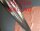 Frontscheiben Zierleiste Cadillac Pontiac top Molding Buick 71-78 2DR 4DR Cabrio