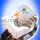 Lichtschalter GM 60-96 Buick Cadillac Chevrolet Pontiac Oldsmobile Abblendlicht