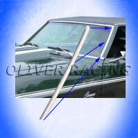 ZIERLEISTE WINDSCHUTZSCHEIBE LINKS Fahrerseite Frontscheibe Camaro Pontiac Firebird Coupé 67 68 69