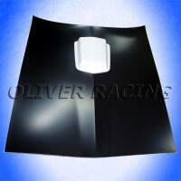 SHAKER Lufthutze Trans Am Pontiac Firebird T/A 1977 78 79 80 81 HOOD HUTZE