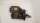 ANLASSER GEBRAUCHT 93-99 3,3L 3,8L   CHRYSLER® VOYAGER GRAND VOYAGER TOWN&COUNTRY New Yorker DODGE CARAVAN