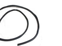 Dichtung Frontscheibe Transsport Strip W/S