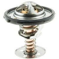 Thermostat mit Dichtung