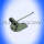 Zierleistenclip mit Feder Zierleistenhalter Chromleiste clip 11 mm - 16 mm