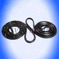 Türdichtung hinten Set re + li
