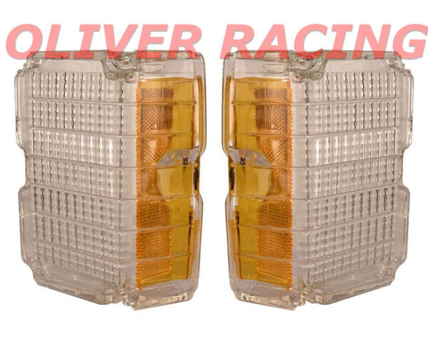 STANDLICHT LAMPENGLAS SET Chevrolet El Camino 1972 72 Parklicht Beleuchtung