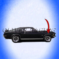 Radzierleiste Ford Mustang VR 71-73