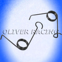 Heckklappenfedern PAAR Chevrolet El Camino 64 65 66 67 68...