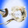 BLINKERSCHALTER Buick Oldsmobile Pontiac Chevrolet GMC 67-81