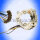 BLINKERSCHALTER Buick Oldsmobile Pontiac Chevrolet GMC 67-81