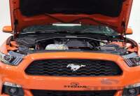 Motorhaube Dämpfer Ford Mustang 2015 2016 2017 2018 2019 2020 2021 Set