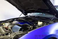 Motorhaube Dämpfer Ford Mustang 2015 2016 2017 2018 2019 2020 2021 Set