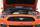 Motorhaube Dämpfer Ford Mustang 2015 2016 2017 2018 2019 2020 2021 Set