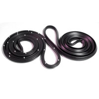 Front Molded Door Seals.  For 4-door sedan.  Pair R&L