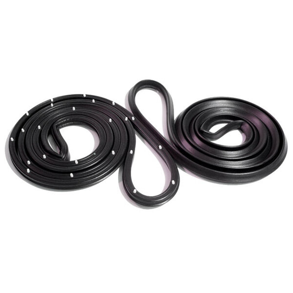 Molded Door Seals with Clips.  For 2-Door Sedan.  Pair R&L