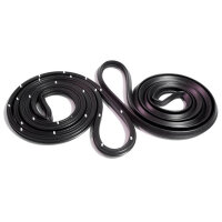 Molded Door Seals with Clips.  For 2-Door Sedan.  Pair...