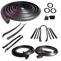 Master Kit for Convertible. Door Seal(LM 12), Roof Rail...
