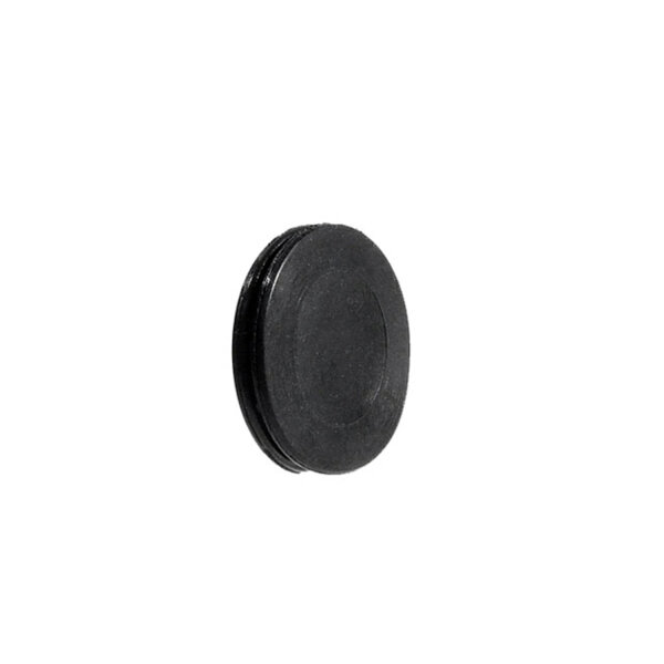 Hole Plug.  Fits 5/8" hole.  Each