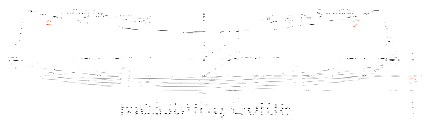 Blattfeder G-VAN G10 G20 G15 G1500