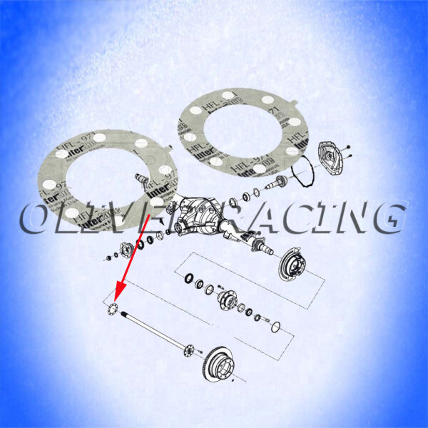 Dichtung Achswelle Hinterachse 03 - 11 RAM 14 Bolt Achse