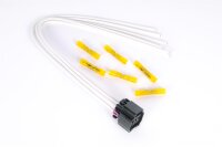 Stecker 6 polig Trittbrettstecker