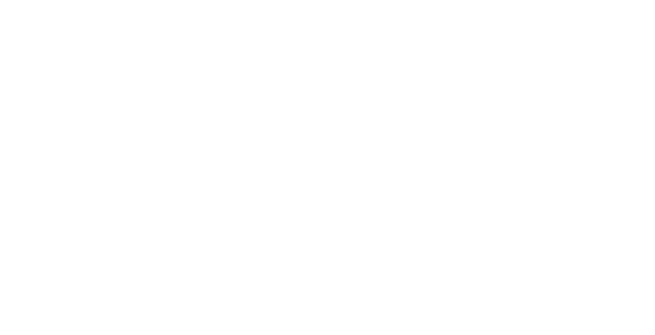 Trittfläche Stoßstange hinten F150 16-20