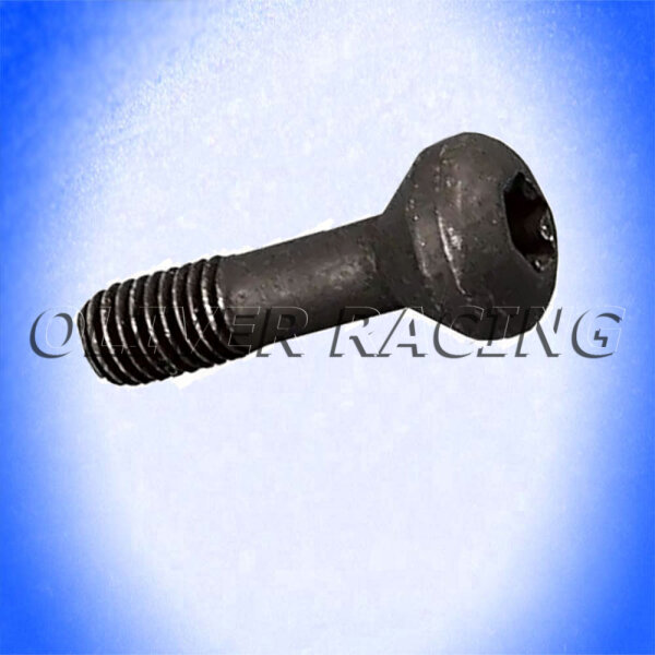 Hardtop Dach Schraube hinten Corvette C4 84 85 86 87 88 89 90-96