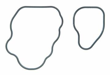 Verbindungsrohr Crossover O-Ring Dichtung Ford 5,4L