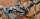 Dodge Durango 2001 4,7 5,9 Kabelbaum/Sicherungskasten 56049032AD gebraucht