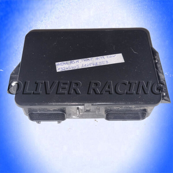 Drosselklappensteuergerät TAC Modul Corvette C5 Cadillac CTS-V 97 98 99 00 01 02 03 04 05