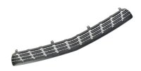 Kühlergrill unten