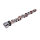 LUNATI Nockenwelle Voodoo Roller Mopar 440 270/278