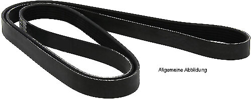Serpentinenriemen Flachriemen