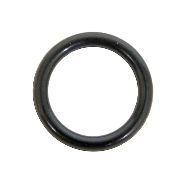 Holley Vergaser O-Ring Schwimmernadelventil