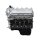 Motor Long Block 5,4L Austauschmotor